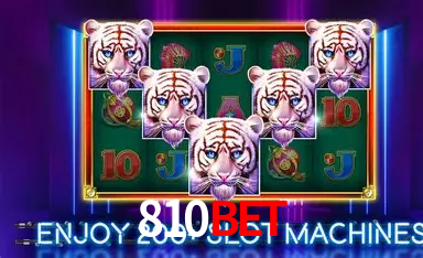 Experiência VIP 810bet